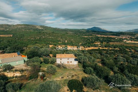 Landejendom i Les Useras, Castellon, Les Useras - € 140.000 | Ref: 794 - foto 1